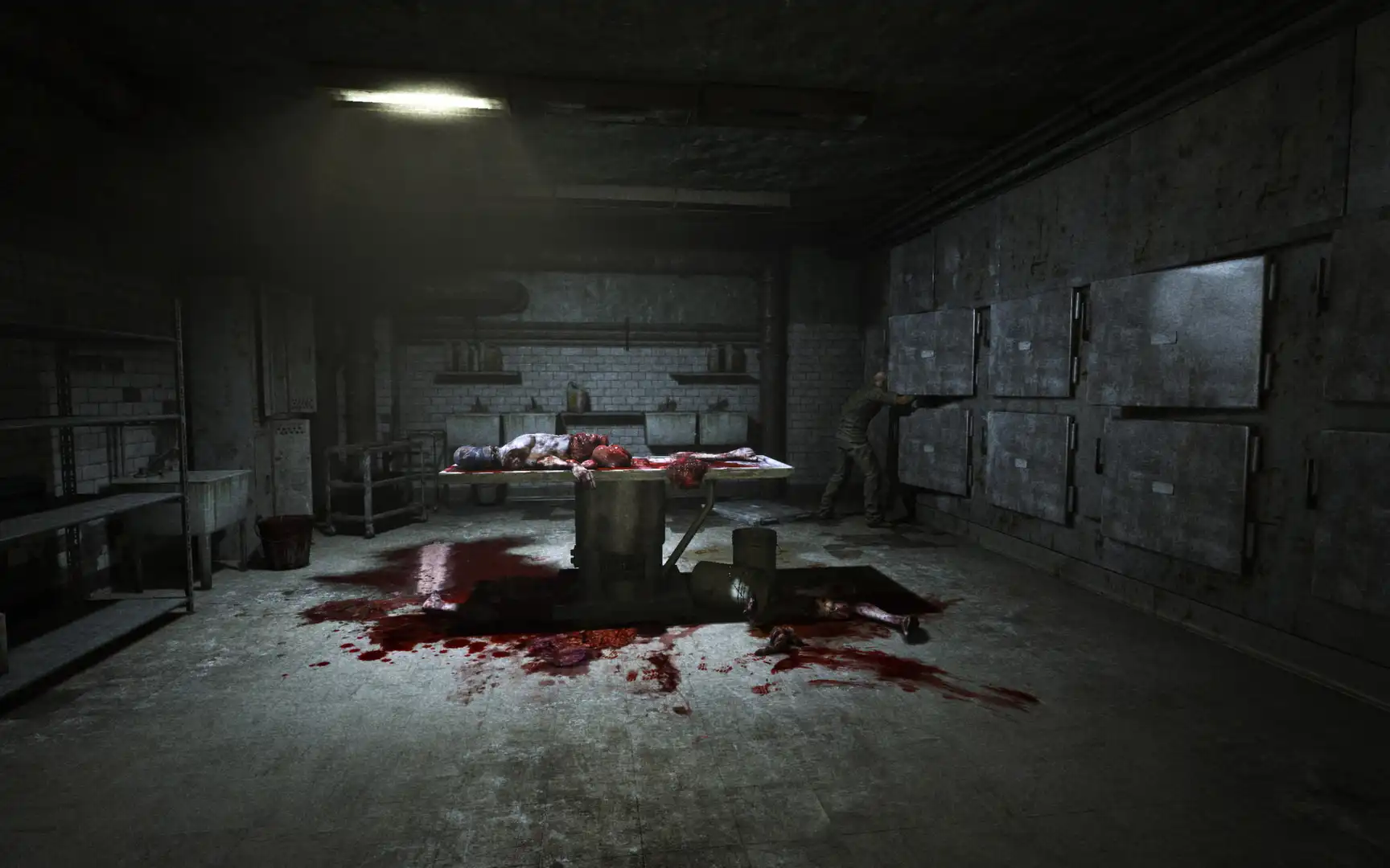Скриншот Outlast 3